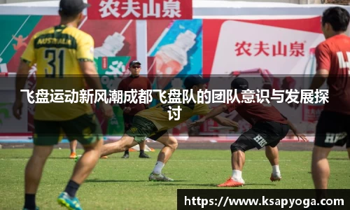飞盘运动新风潮成都飞盘队的团队意识与发展探讨