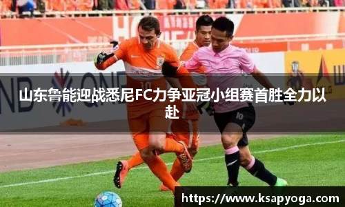 山东鲁能迎战悉尼FC力争亚冠小组赛首胜全力以赴
