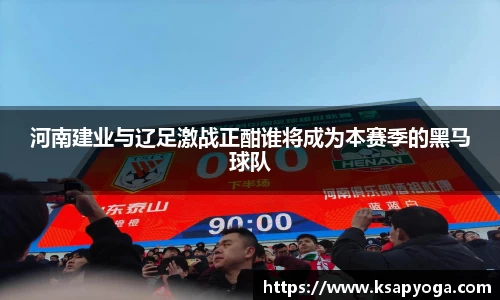 河南建业与辽足激战正酣谁将成为本赛季的黑马球队